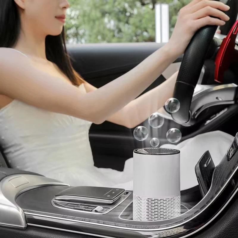 Portable Air Purifier